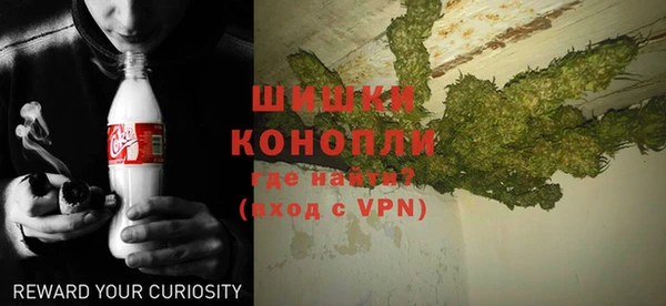 индика Армянск