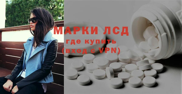 шишки Богородицк