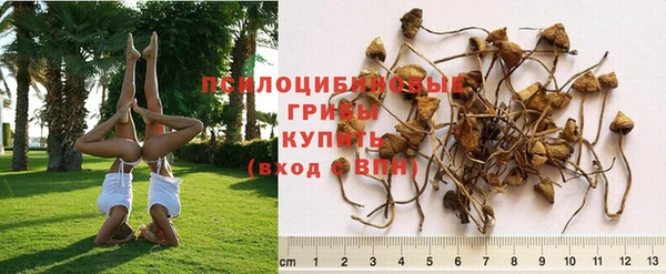 индика Армянск