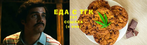 индика Армянск