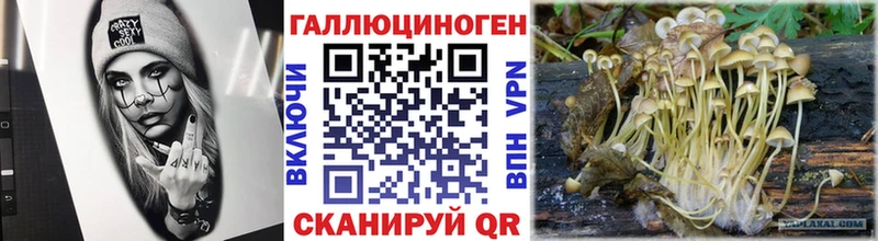 Галлюциногенные грибы мицелий  Южно-Сахалинск 